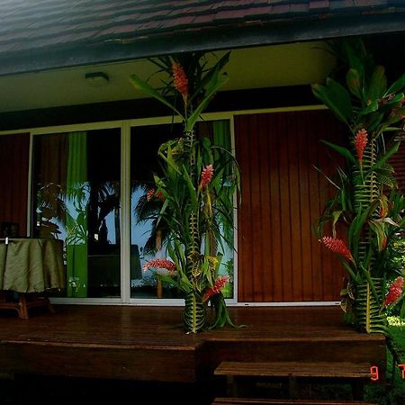 Tauhanihani Village Lodge La Vague Bleue Teahupoo 외부 사진