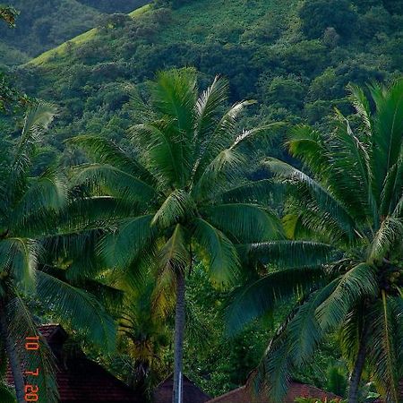 Tauhanihani Village Lodge La Vague Bleue Teahupoo 외부 사진