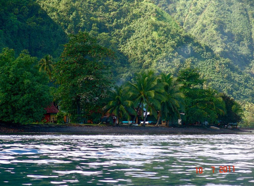 Tauhanihani Village Lodge La Vague Bleue Teahupoo 외부 사진